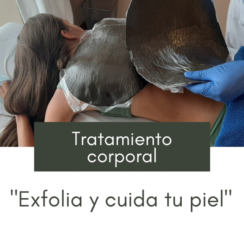 Algas Horizontal Español