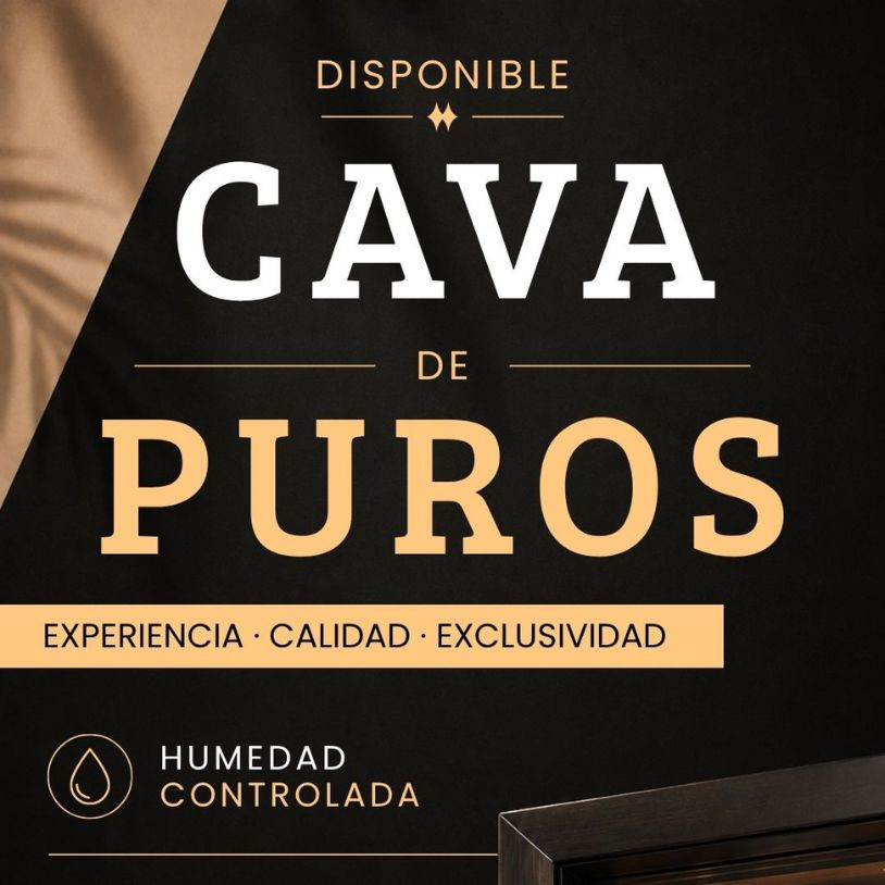 Cava de Puros Vertical Español
