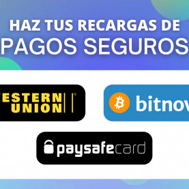 Pago Seguro Horizontal Español