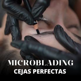 Microblading Vertical Español