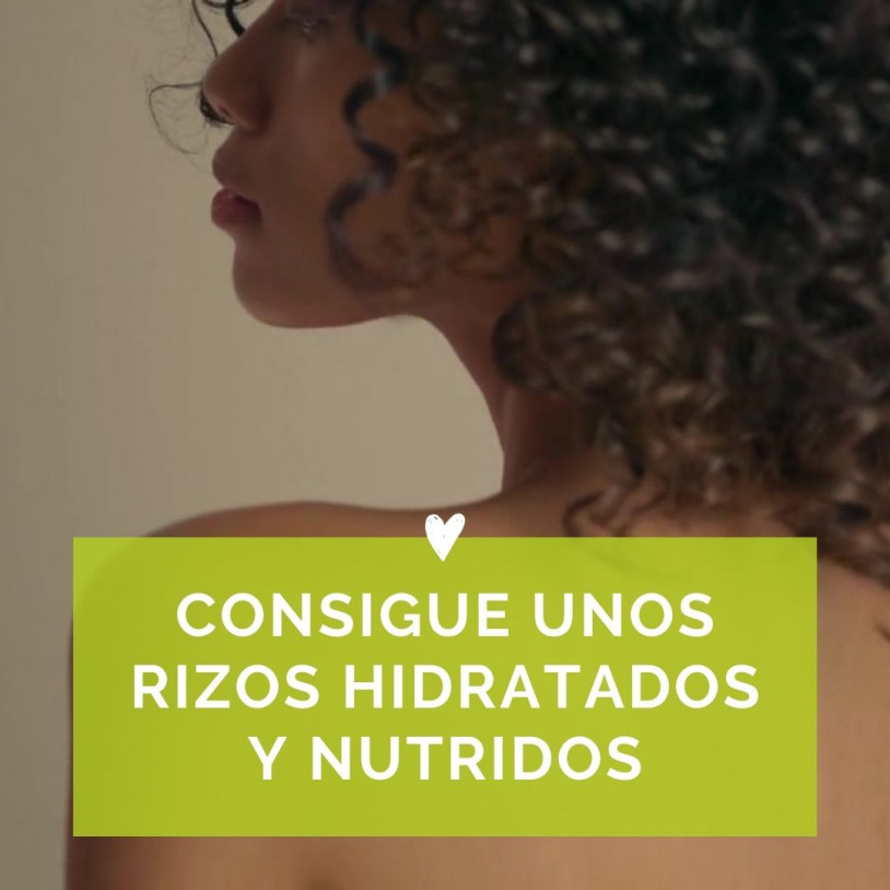 Define Rizos Vertical Español