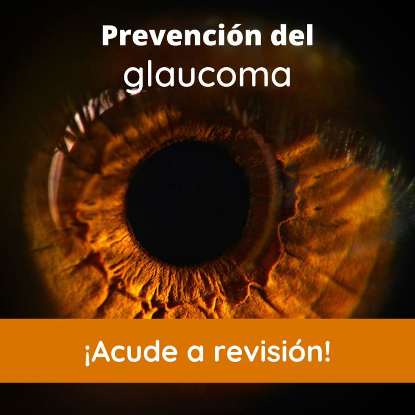 Prevención Glaucoma Vertical Español
