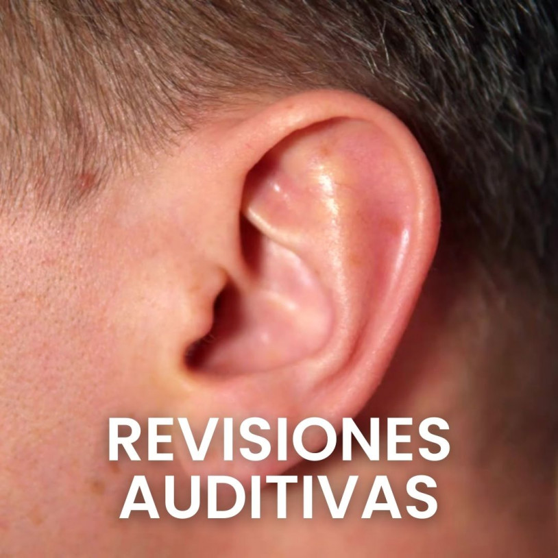 Revisión Gratis Vertical Español