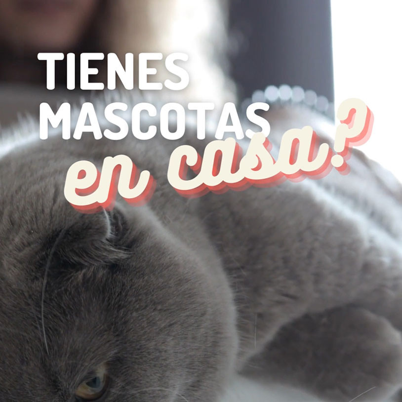 Cepillo Vertical Español