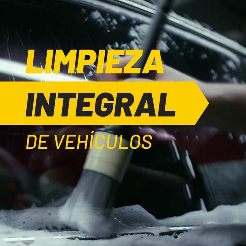 Limpieza Coches Vertical Español