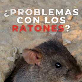 Spray Antiratones Vertical...